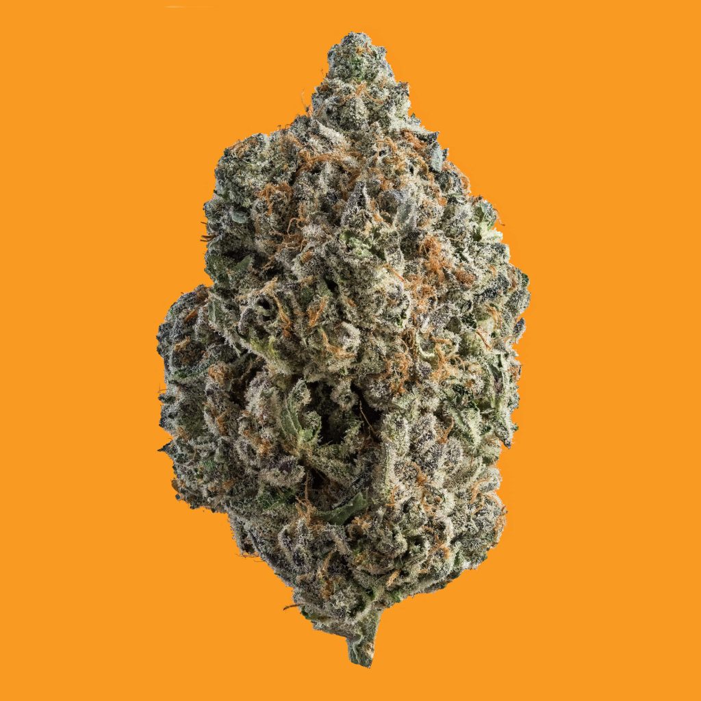 1x1_GEORGIA_PIE_NUG