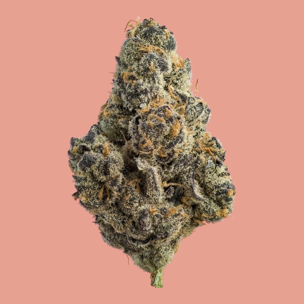 1x1_GLITTER_BOMB_NUG