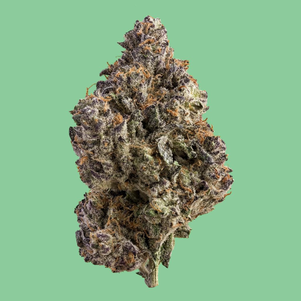 1x1_KUSHMINTS_NUG