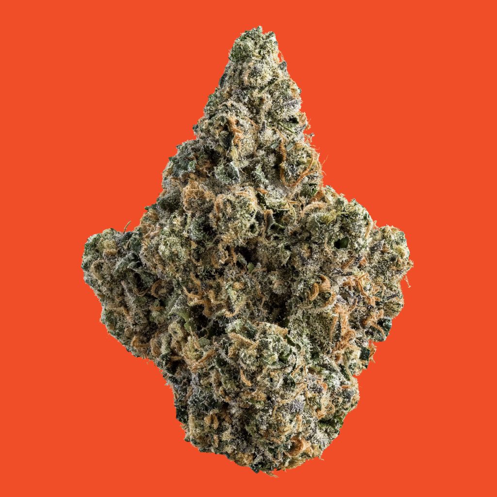 1x1_SHERBANGER22_NUG