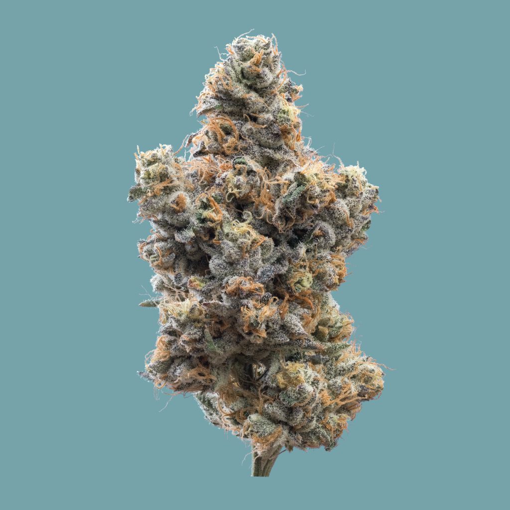1x1_WEDDING CAKE_NUG